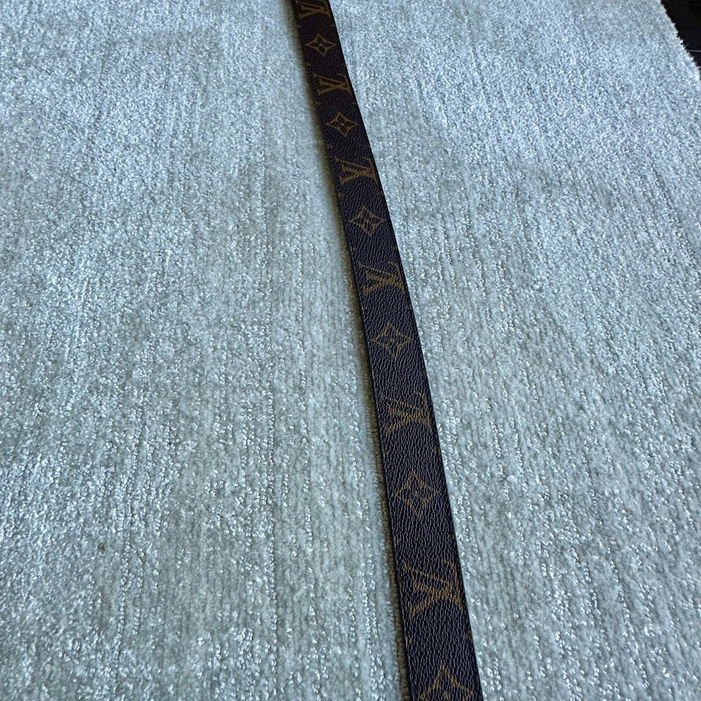 Luxury Louis Vuitton Brown and Gold Belt - Picture 4 of 6